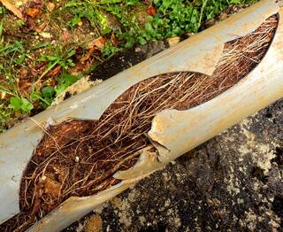 Blocked Drain Repair Services Port Elizabeth Industro Plumbers
