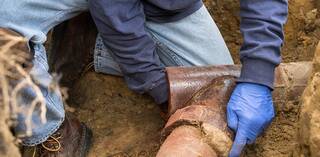 Sewerage Repair Services Port Elizabeth Industro Plumbers